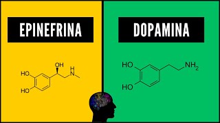 🧠¿Qué es la Epinefrina  ✅¿Qué es la ADRENALINA  ✅¿Qué es la DOPAMINA [upl. by Pippy826]