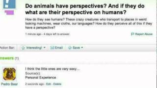 Trolling Yahoo Answers [upl. by Ermeena48]