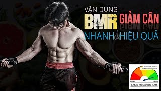 BMR là gì  Cách vận dụng BMR giảm cân nhanh và hiệu quả [upl. by Nyleuqaj]