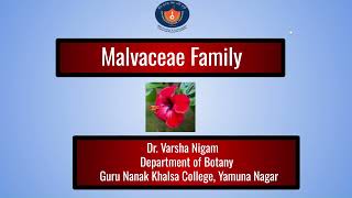 Malvaceae Family Taxonomic description  Dr Varsha Nigam [upl. by Peatroy]