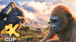 Kong Eats Breakfast With Suko Scene  GODZILLA X KONG THE NEW EMPIRE 2024 Movie CLIP 4K [upl. by Aysab98]