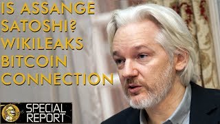 Julian Assange Satoshi Connection amp Wikileaks Bitcoin amp Crypto Pioneer [upl. by Ennayt]