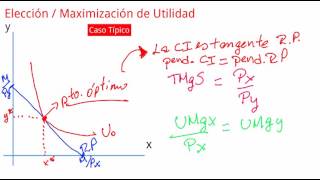 Maximización de utilidad Casos Típicos [upl. by Bette-Ann]