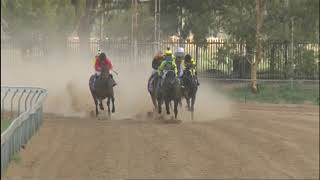 Condobolin 22 February 2020 picnic race 4 [upl. by Raina]