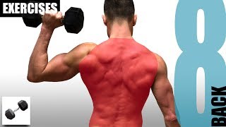 8 BACK EXERCISES YOU CAN DO WITH JUST ONE DUMBBELL [upl. by Cyril818]