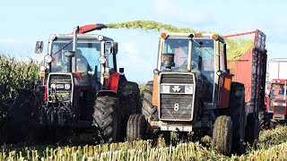 Maisernte 2024  Massey Ferguson 2725 amp 2745 V8  Corn Silage Day 2024 [upl. by Farhsa]