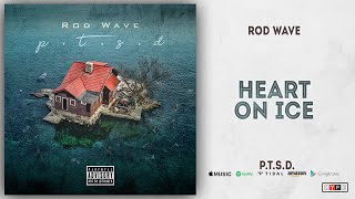 Rod Wave  Heart On Ice PTSD [upl. by Ruamaj]