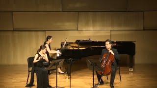 JMDamaseSonate en concert for flute piano and cello [upl. by Huggins]