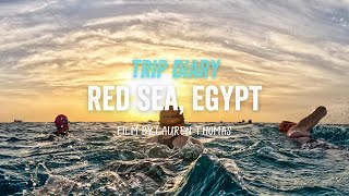 Red Sea Egypt 2023  SwimTrek Trip Diary [upl. by Ylecic]