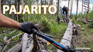 Pajarito Bike Park  New Mexico [upl. by Aneehsar580]