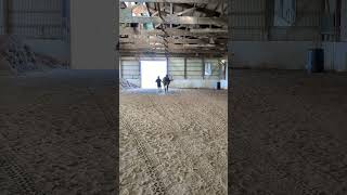 Yggdrasils comeback journey  another clip from training horse epm horsetraining [upl. by Cass]