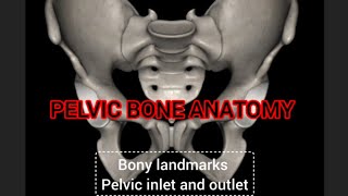 pelvic bone anatomy  pelvic inlet and outlet [upl. by Pennie]