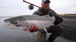 Alaska Steelhead fishing Trailer HD [upl. by Burhans]