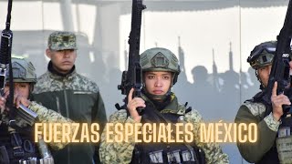 Fuerzas Especiales del Ejército Mexicano refuerzan seguridad en Tamaulipas [upl. by Armstrong]