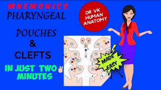 PHARYNGEAL POUCHES😀 amp CLEFTS  DERIVATIVES EASY MNEMONICS😍  NEW VIDEO 2021  Dr Vk Anatomy [upl. by Solohcin166]