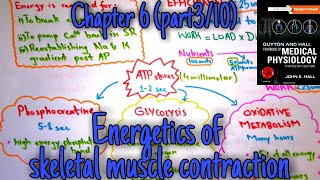 Energetics of muscle contraction  chapter 6 part 310  Guyton and hall text book of physiology [upl. by Adnohrahs]