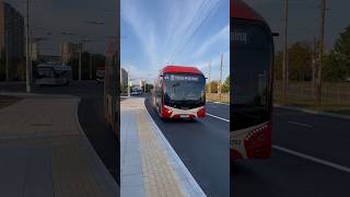 Brand New Škoda 32Tr SOR in Vilnius🇱🇹 trolleybus publictransport vilnius shorts [upl. by Kirrad]