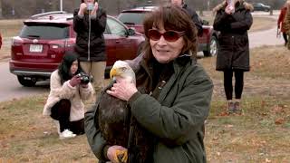 2024 Eagle Release Video for Bald Watching Eagle Days [upl. by Lightfoot]