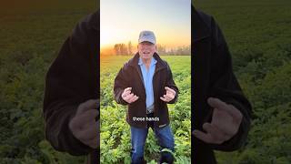 How we harvest potatoes 🥔 [upl. by Uv]