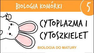 Cytologia 5  Cytoszkielet i cytoplazma biologia matura poziom rozszerzony liceum [upl. by Aihseyt431]