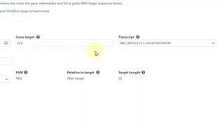 HDR Donor Designer for DNA insertion using ssDNA donor oligo [upl. by Mandych767]