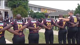 Ndoyika abazali bamDale College Gwijo tribute to Liya “Sturge” Teyise🙏🏽 [upl. by Morril]