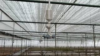 ระบบพ่นหมอก fogger irrigation system หัวพ่นหมอก ระบบน้ำ โรงเรือน [upl. by Ong91]