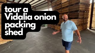 Vidalia Onion Packing Shed Tour [upl. by Ecilahs]