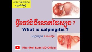 អ្វីទៅជំងឺរលាកដៃស្បូនWhat is salpingitis l Khor Hok Sunn MD Official [upl. by Satsok321]