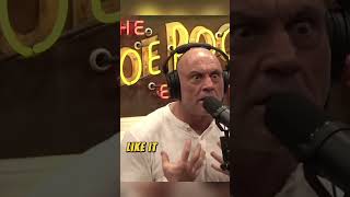 JRE Joe Rogans Terrifying Mountain Lion Encounter shorts [upl. by Ansev]