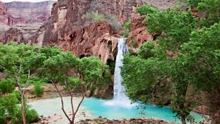 Havasupai tribe halts guided trips to famous falls [upl. by Glynnis]