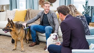 Trevor Donovan and His Dogs  Home amp Family [upl. by Savick]