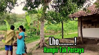 Kehidupan Terpencil  Dalam Hutan Blora Sangat Damai [upl. by Ecirtnahc251]