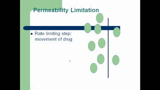 Perfusion vs Permeability V part 5 [upl. by Adniuqal]