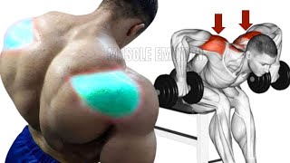 5 BEST REAR DELTOID EXERCISES WITH DUMBBELLS ONLY AT HOME [upl. by Peg469]