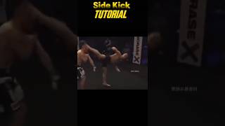 Side Kick tutorial  taekwondo 100k 1million mma trendingshorts viralvideo [upl. by Aenad]