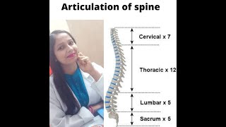 ARTICULATION OS SPINE  INTERVERTEBRAL JOINT  ZYGAPOPHYSEAL JOINT  PART 1 [upl. by Llenrag229]