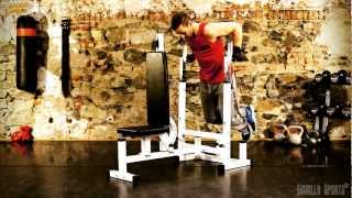 Banc de musculation universel multifonctions – Gorilla Sports [upl. by Llerahc]