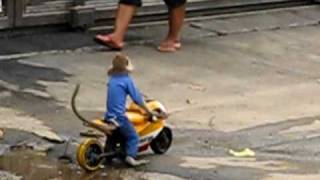 Topeng Monyek  Monkey Show  Jakarta Indonesia [upl. by Schrader685]