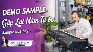 GẶP LẠI NĂM TA 60  Demo Sample Âm Thanh quá hay [upl. by Derdlim986]