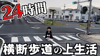 【危険】24時間横断歩道の上で生活してみたwwwww [upl. by Hessney]