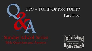 079 Q amp A  TULIP Or Not TULIP Part Two  Sunday School  51924 [upl. by Corwun]