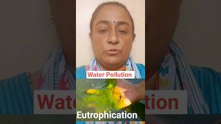 Eutrophication हिंदी में Understanding the Impact on Aquatic Ecosystems shortsfeed ytshorts [upl. by Ahsam923]