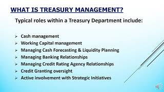 Treasury Management Best Practices [upl. by Collar]