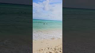 Today The Reef Playacar resort beach Playa del Carmen Mexico tropical Caribbean Sea life travel [upl. by Sheppard]