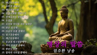 명상의말씀 🌲🌼🌷 채근담중에서 유마경 중에서 행유품반야품 중생교화를 명하시다 관세음보살 영험록  엄주환 낭송 [upl. by Perlie]