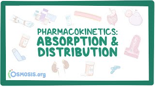 Pharmacokinetics Drug absorption and distribution [upl. by Nelleeus140]