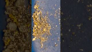 You CAN Roast Quartz to Extract Gold [upl. by Philis]