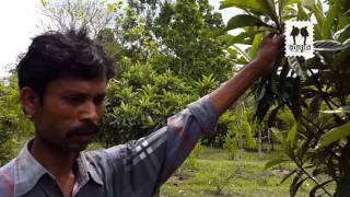 Bangladesh Agricultural University Botanic Garden Part 2 [upl. by Asha748]