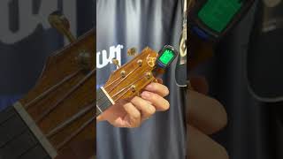 How to tune Ukulele [upl. by Bohman893]